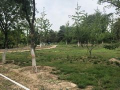 -绿堤公园