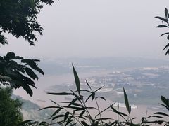 -铁山坪森林公园