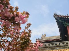 -天津大悲禅院