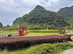-靖西鹅泉风景区