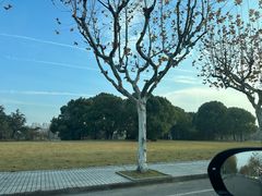 -同济大学(嘉定校区)