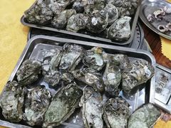-蚝专家(北滘店)