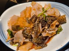 -金龙寨(解西店)