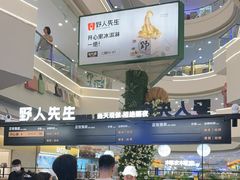 -野人先生Gelato(上海长宁龙之梦店)