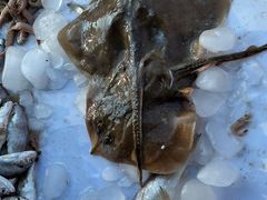 -登州市场(登州路店)