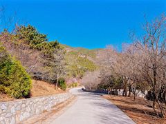 -北京西山国家森林公园