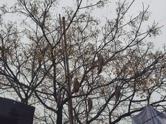 -仓桥直街