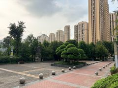 -龙头寺公园