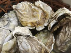 -三子烤羊腿·海鲜(弘阳店)