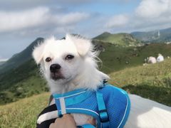 -大姆山草场