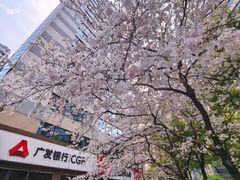-玛格萝妮比萨屋(四平店)