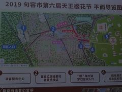 -天王浮山樱花园