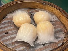 -憶廟街 X 沙角邨(太古城店)