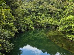 -鼎湖山风景区
