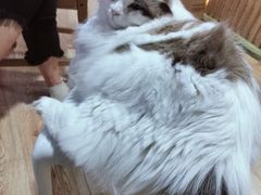 -白兔子密室(长寿路店)