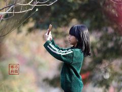 -南国桃园旅游度假区