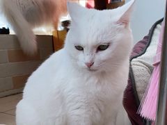 -北京赛佳动物医院