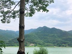 -羚羊峡古栈道森林公园