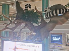 -大族广场Mall&More