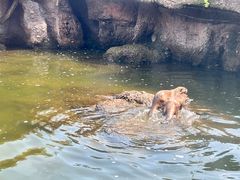 -北京野生动物园