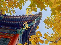 -颐和园