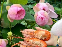 -七的湖·晚芳亭·阳澄湖农家菜·大闸蟹(莲花岛店)