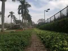 -观澜湖生态运动公社