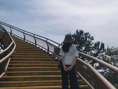 -少华山国家森林公园