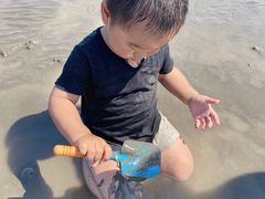 -奉贤海滩