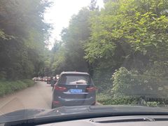 -武陵山森林公园