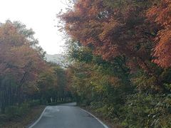 -长白岛森林公园