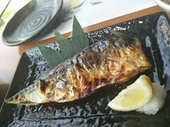 -将军日本餐厅·Shogun 传统日料·铁板烧·板前料理(厦门马哥孛罗东方大酒店)