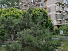 -南京市实验幼儿园