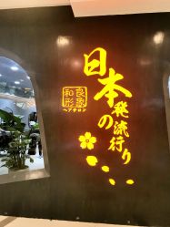 点击看大图 -和良形象