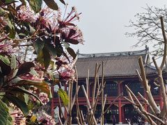 -顺峰山公园