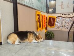-半岛宠物医院24小时(西派城店)