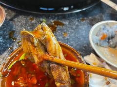 -肥龙火锅(南坪店)