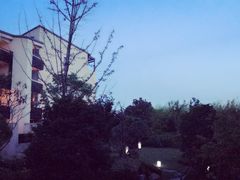 -上海崇明金茂凯悦酒店