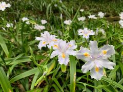 -杭州半山国家森林公园