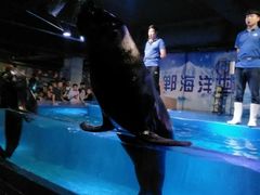 -邯郸海洋世界
