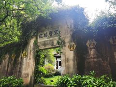 -十八棵（老龙井）御茶园(老龙井店)