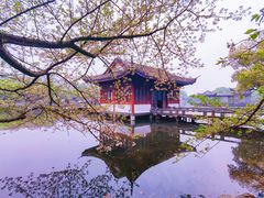 -柳莺湖上·湖景餐厅·江南菜(西湖店)