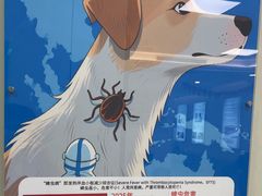 -北京观赏动物医院·24小时大型综合·猫专科·异宠专科