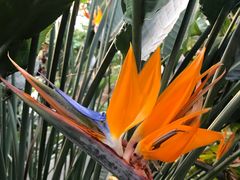 -南通洲际绿博园