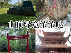 -大屏嶂森林公园