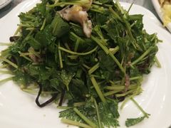 -华圆美食