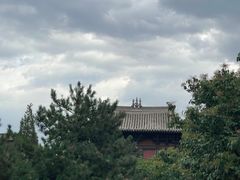 -善化寺