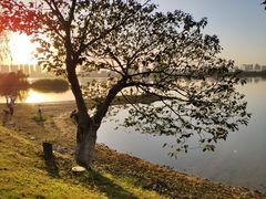 -艾溪湖湿地公园