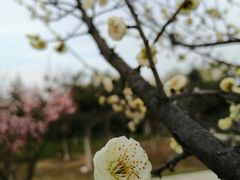 -江南大学(蠡湖校区)