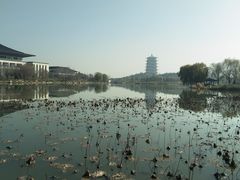 -西安世博园